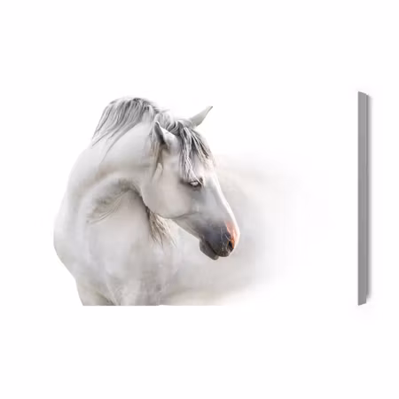 Canvastavla - A white horse in the fog