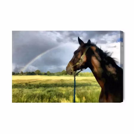 Canvastavla - Horse in the meadow