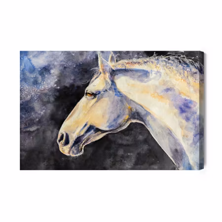 Canvastavla - A light horse on a dark background