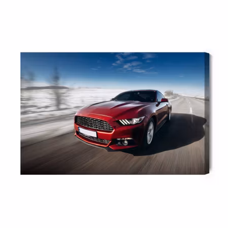 Canvastavla - The car in motion