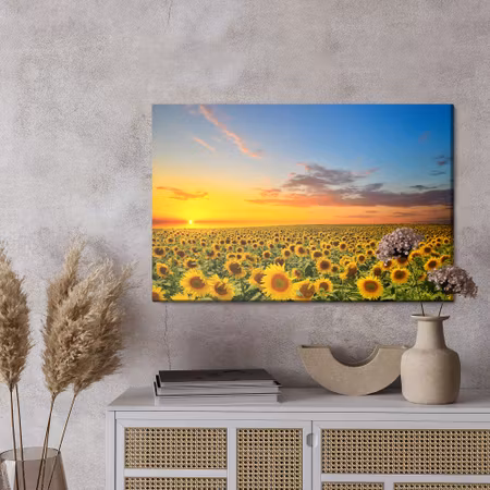 Canvastavla - Sunset over a field of sunflowers