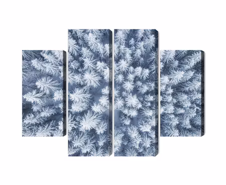 Canvastavla - Aerial view of the winter forest