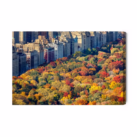 Canvastavla - Central park aerial view