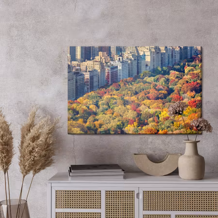 Canvastavla - Central park aerial view