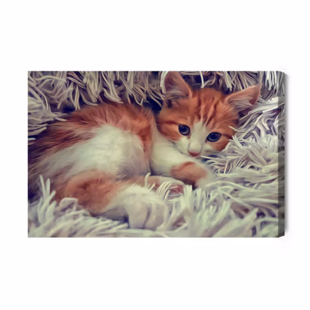 Canvastavla - Little kitten as painted