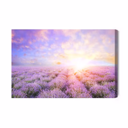 Canvastavla - Pastel lavender field