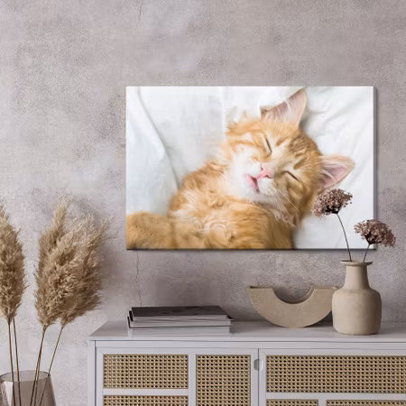 Canvastavla - Sleepy ginger kitten