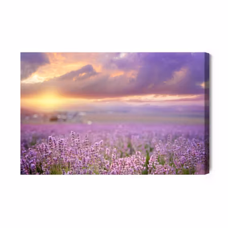 Canvastavla - Beautiful lavender 3d landscape