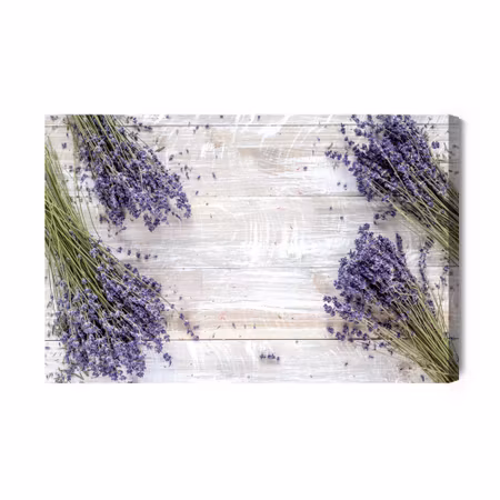 Canvastavla - Lavender flowers on the background of