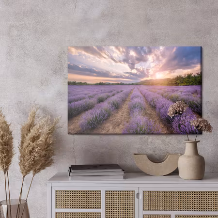 Canvastavla - Lavender field at sunset