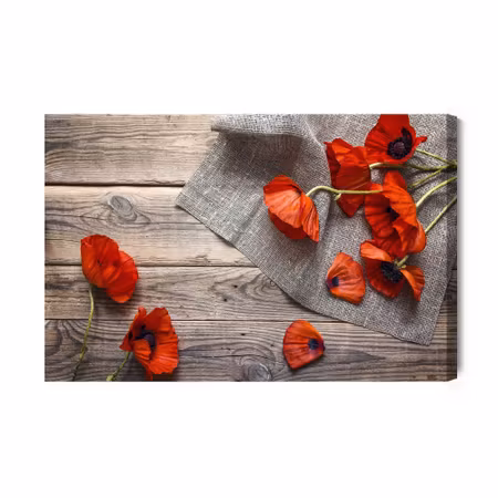 Canvastavla - Red poppies on the background of old