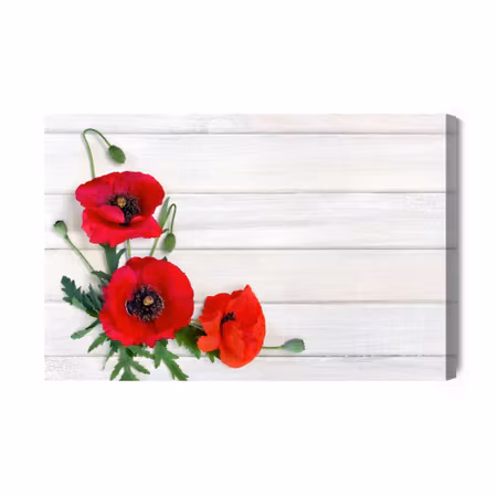 Canvastavla - Red poppies on a background of light