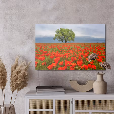 Canvastavla - A tree in the middle of a poppy field