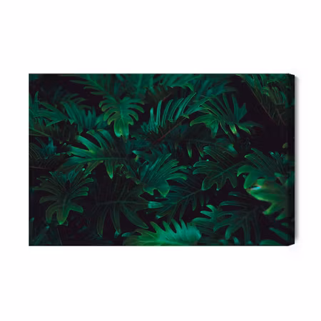 Canvastavla - Tropical fern bushes