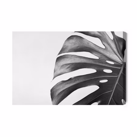 Canvastavla - Monstera leaf in black and white version