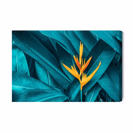 Canvastavla - Orange flower on a background of