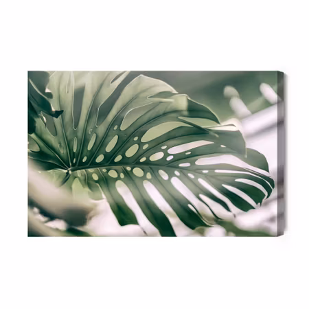 Canvastavla - Monstera leaf close up
