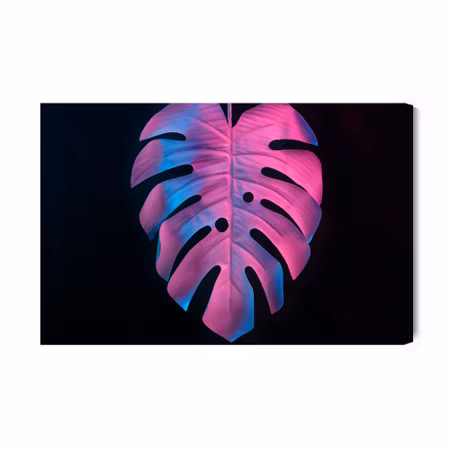Canvastavla - Colorful monstera leaf on black