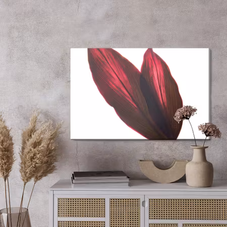 Canvastavla - Cordyline bush leaves