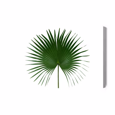 Canvastavla - Green leaf