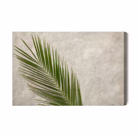 Canvastavla - Palm leaf on a concrete background
