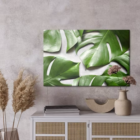 Canvastavla - Monstera leaves on a gray background