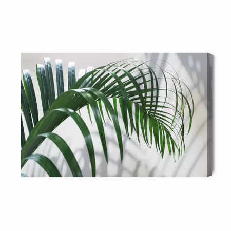 Canvastavla - Green palm leaf with a 3d effect