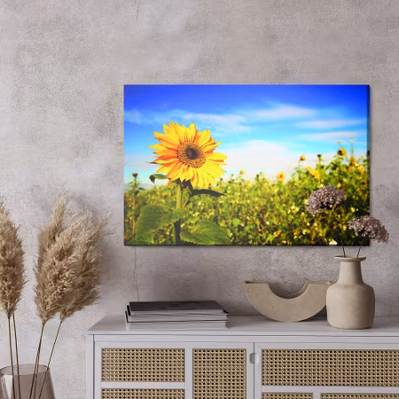 Canvastavla - Sunflowers against the blue sky