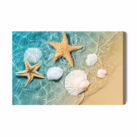 Canvastavla - Stars and seashells in the sea