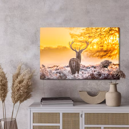 Canvastavla - Deer at sunrise
