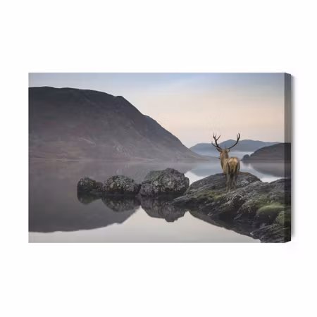 Canvastavla - Deer by the lake