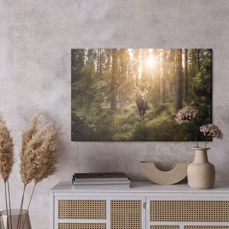 Canvastavla - Deer and the sun&#039;s rays