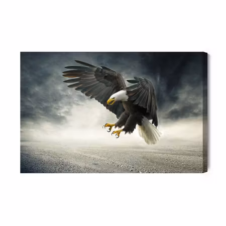 Canvastavla - The eagle during the storm