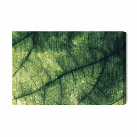 Canvastavla - Abstract leaf texture