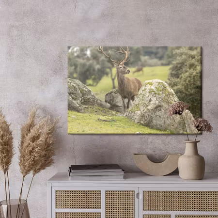 Canvastavla - A deer among the rocks