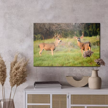 Canvastavla - Two young deer