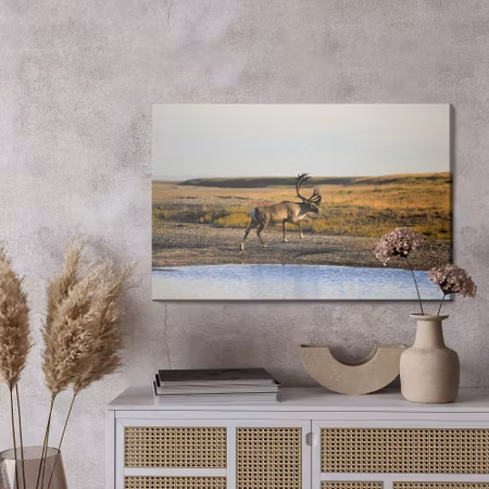 Canvastavla - A deer over the water