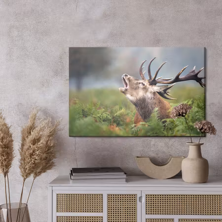 Canvastavla - A roaring deer