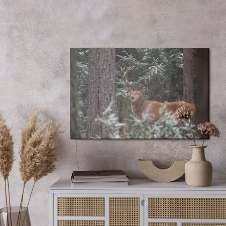 Canvastavla - A deer with a magnificent antler in the