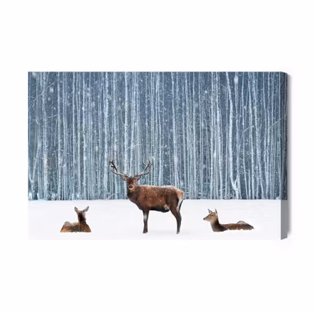 Canvastavla - Deer and does in a winter forest