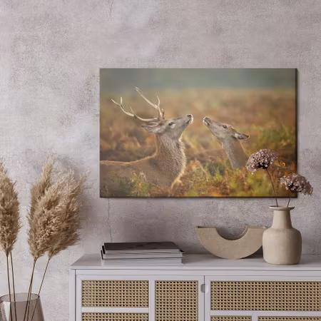 Canvastavla - Deer with a doe