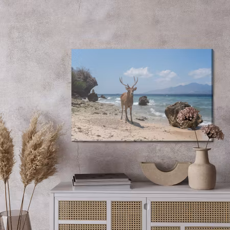 Canvastavla - Deer on the beach