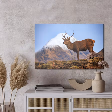 Canvastavla - Deer on the background of mountains