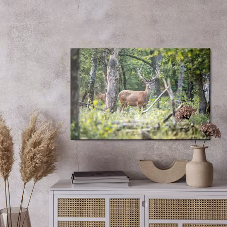 Canvastavla - A deer in the middle of a deciduous