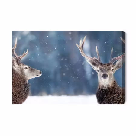 Canvastavla - Two deer in the winter forest