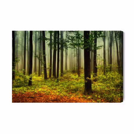 Canvastavla - 3d forest landscape