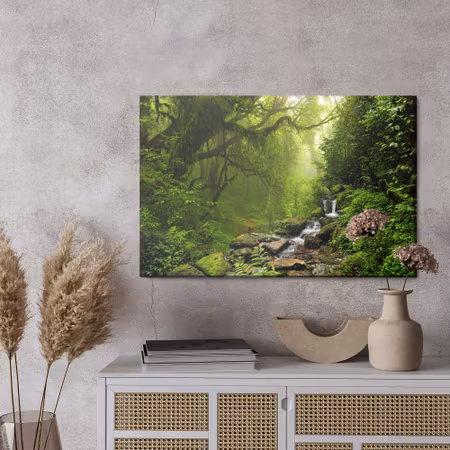 Canvastavla - Subtropical forest in Nepal