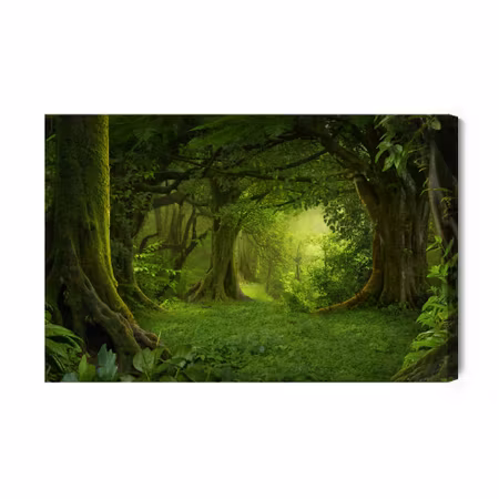 Canvastavla - The depth of the tropical forest