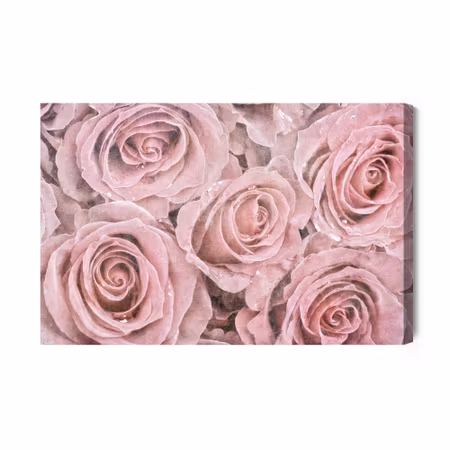 Canvastavla - Beautiful vintage roses