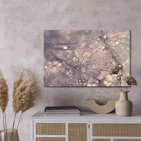 Canvastavla - Dandelion, water drops